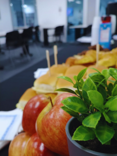 diseño sin título (12)